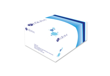 NaC20130101_DS_Lolina? Human BM-MSC stem-Prom? supplement kit 1，Xeno Free